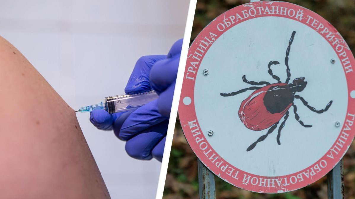 В этом сезоне много клещей! Можно ли еще привиться в Архангельской области