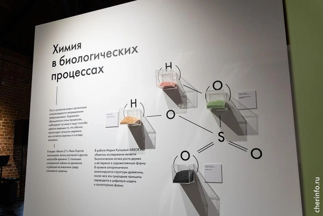 Источник: st.cherinfo.ru