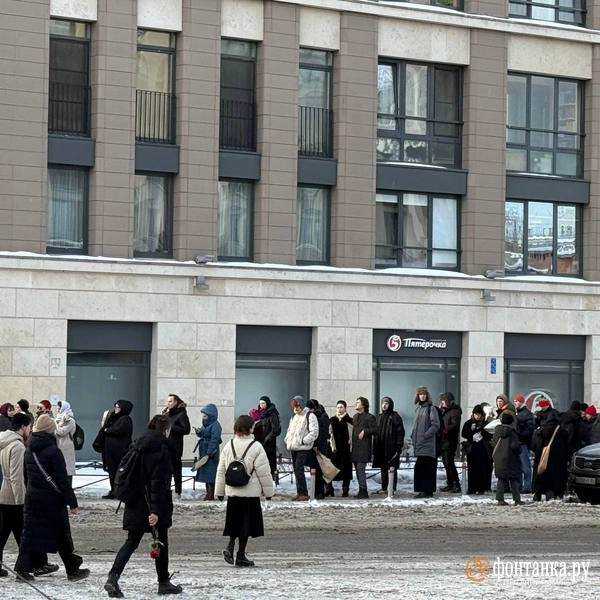 Источник: Константин Митягин / FONTANKA.RU