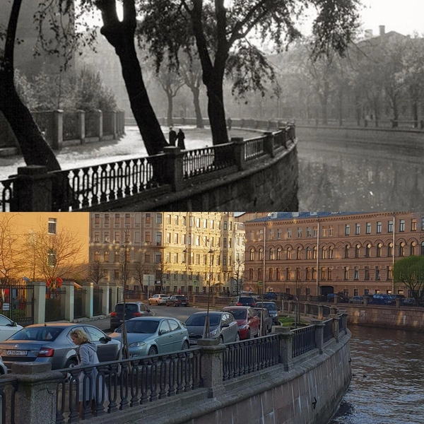 Источник: Деревья Петербурга / ВКонтакте