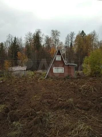 Снаружи дом выглядит почти как модный А-фрейм, но внутри все не так стильно | Источник: avito.ru