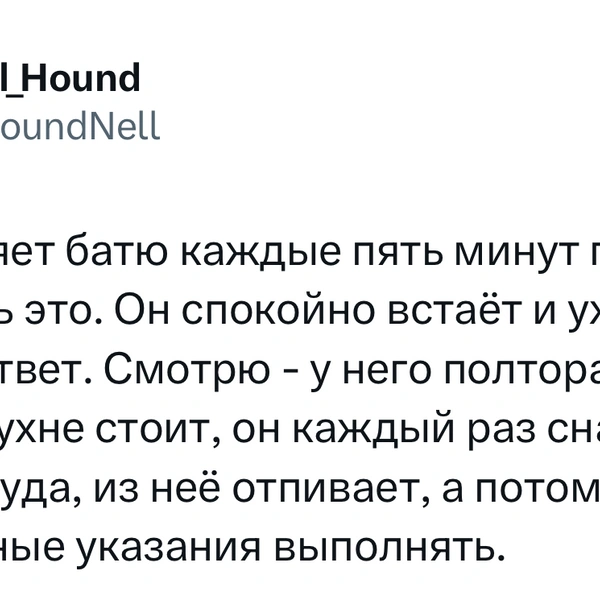Источник: X (Twitter)