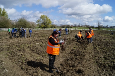 Сад памяти: зеленое эхо Победы в 2026 году