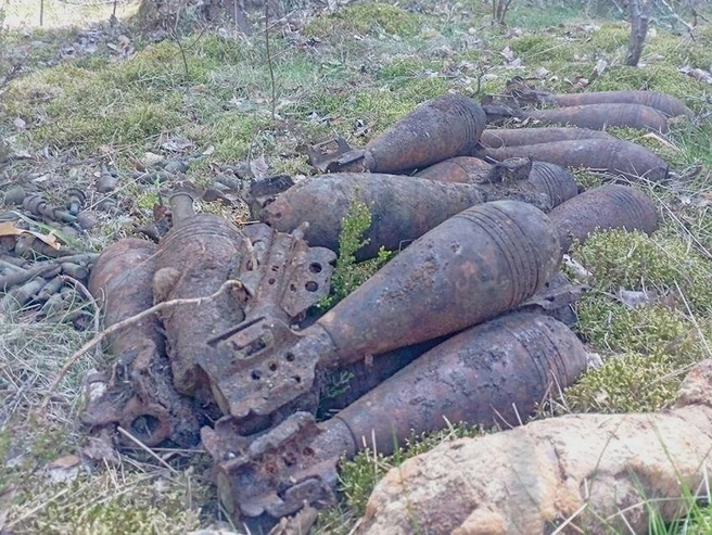 В Нижне-Свирском заповеднике показали взрывоопасную находку на месте будущего вольера | Источник: Нижне-Свирский государственный заповедник