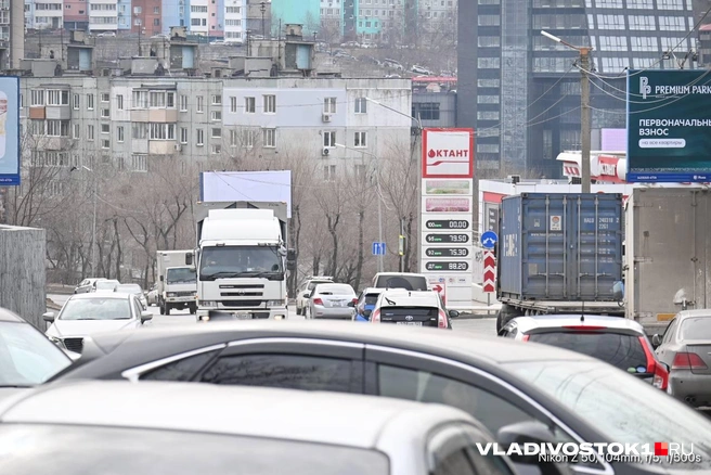 Источник: Елена Буйвол / VLADIVOSTOK1.RU