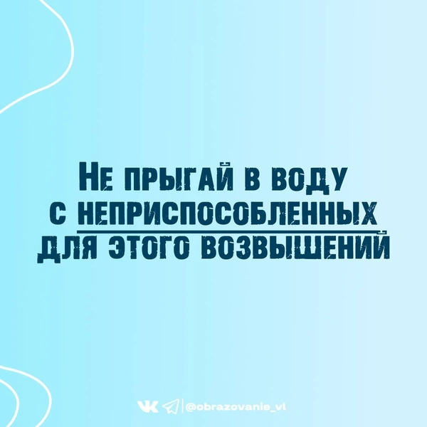 Источник: Администрация Владивостока / T.me