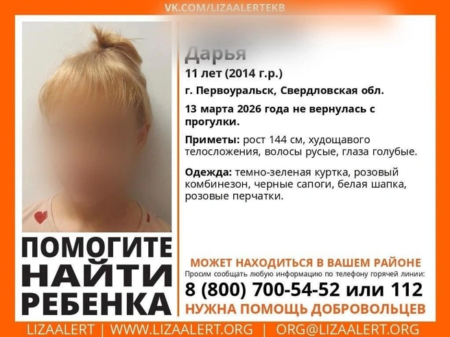 Если вы видели эту девочку, обратитесь в полицию | Источник: «ЛизаАлерт»