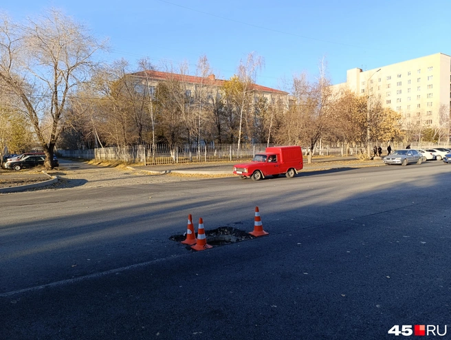 У городского суда | Источник: Надежда Тихомирова, 45.RU