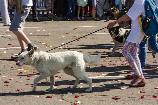 Источник: Ксения Зимина