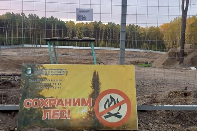 В Сосновом бору увезли технику после вырубки