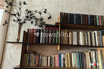 В квартире множество книг: Олеся Петровна преподавала русский язык и литературу | Источник: Василина Любимова / 59.RU