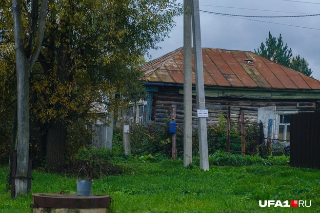 Деревенская романтика | Источник: Булат Салихов / UFA1.RU