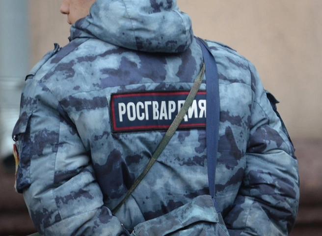 В Клепиковском районе после погони задержали пьяного водителя | 62.ru
