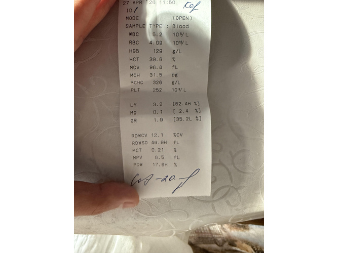 Изображение пользователя