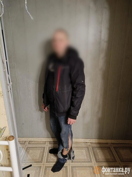«Первая подпрыгнула и вцепилась мне в плечо, остальные пять взяли в кольцо». Петербуржец рассказал о нападении бездомных собак | Источник: читатель «Фонтанки»