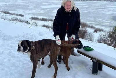 Экс-министра Австрии обвиняют в шпионаже и лишают гражданства