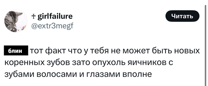Источник: X (Twitter)