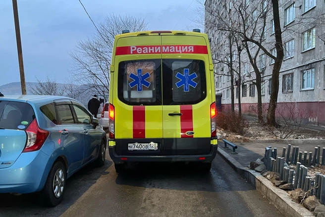 Скорая и пожарная там не проедут. Жительница Владивостока подложила в яму бревно, чтобы спасти мужа | Источник: Елена Буйвол / VLADIVOSTOK1.RU