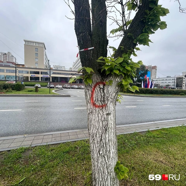 Такие отметки встречаются неоднократно | Источник: Александра Куляпина / 59.RU