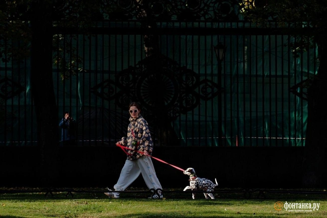 «Только следы осадков». Главный синоптик Петербурга рассказал, что необычного было в погоде последних дней  | Источник: Михаил Огнев / «Фонтанка.ру»