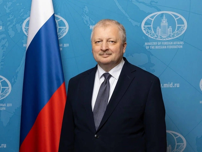 Российскую делегацию возглавил посол Александр Дарчиев | Источник: МИД России / Telegram