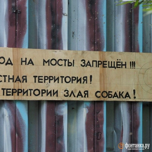 Источник: Михаил Огнев / FONTANKA.RU