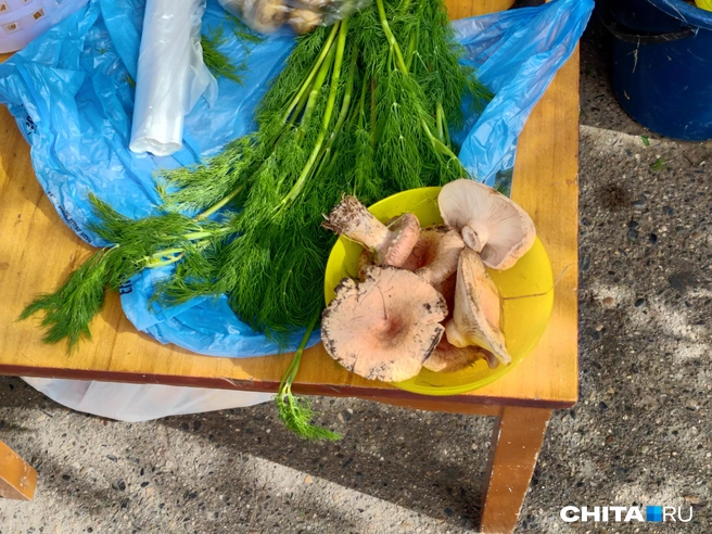 Можно сразу укропчика прикупить  | Источник: Дарья Кливенкова / CHITA.RU
