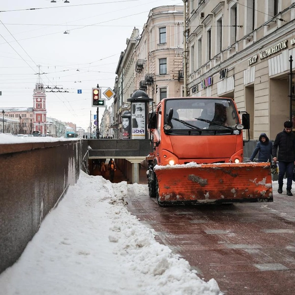 Источник: Комитет по благоустройству Петербурга