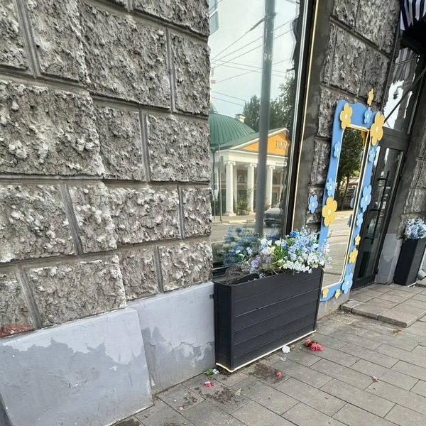 Неизвестные вырвали цветы, а после разбросали их по тротуару | Источник: Анна Супакова