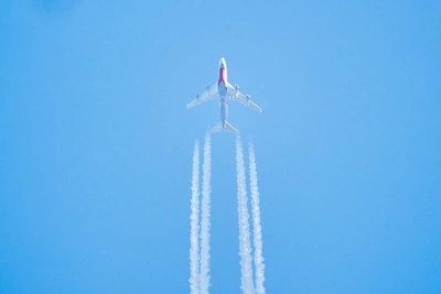 Почему в самолет нельзя проносить воду: версия эксперта