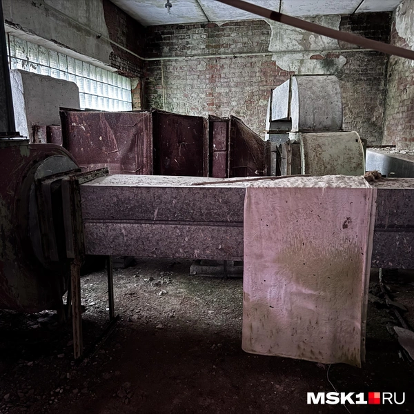 Источник: Алина Мельникова / MSK1.RU