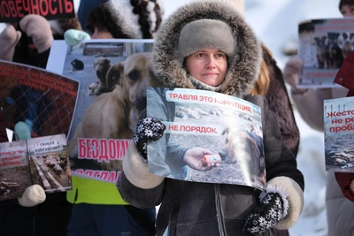 Томичи вышли на пикет из-за отравления собак