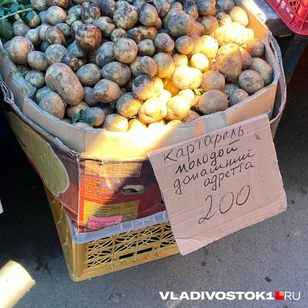 Источник: Елена Буйвол / VLADIVOSTOK1.RU