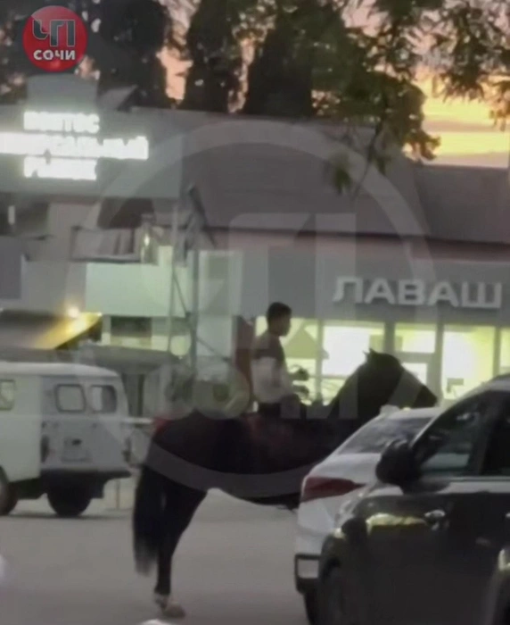 Пьяный всадник напугал весь микрорайон | Источник: chp_sochi / t.me