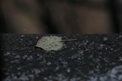 В Волгограде выпал снег в апреле: видео