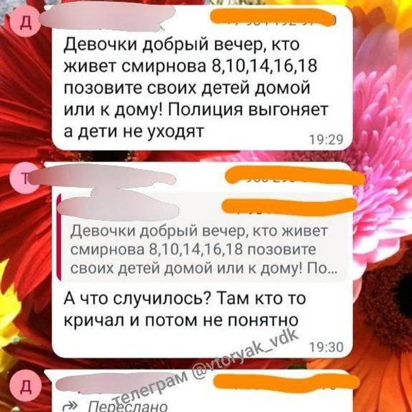 Источник: Svodka 25 / T.me