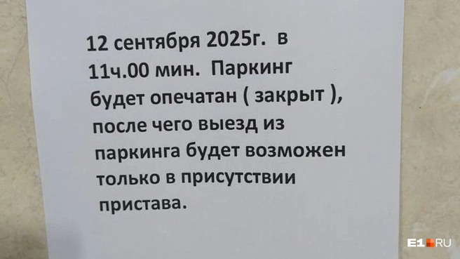Такие объявления расклеили накануне | Источник: читатель E1.RU