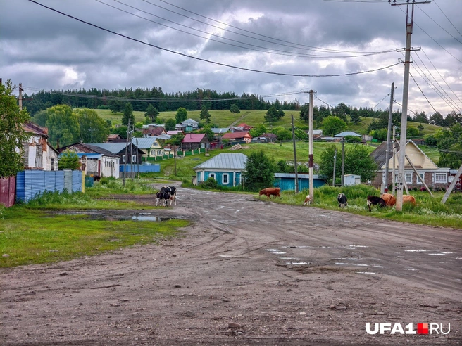 Живописное село, хоть сейчас картины пиши | Источник: Булат Салихов / UFA1.RU