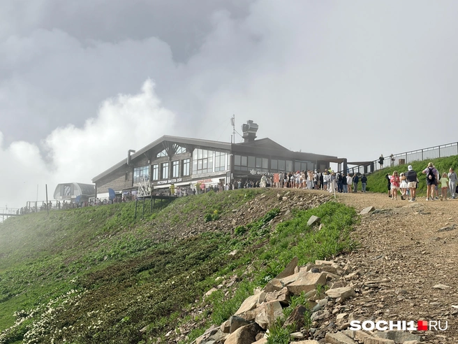 Это и есть Роза Пик | Источник: Анна Грицевич / SOCHI1.RU