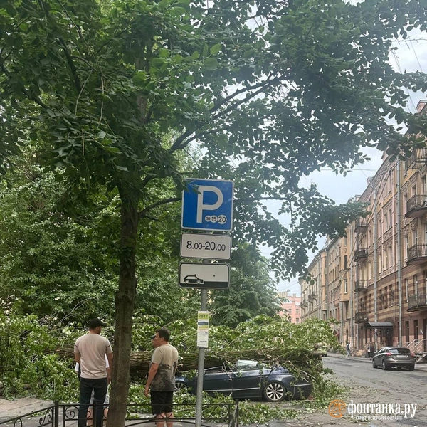 Источник: читатель «Фонтанки»