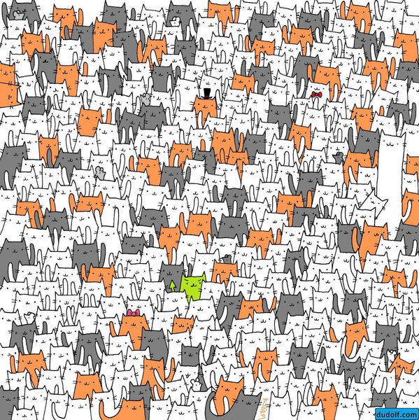 Тест в 1 клик: найдите кролика среди кошек за 10 секунд