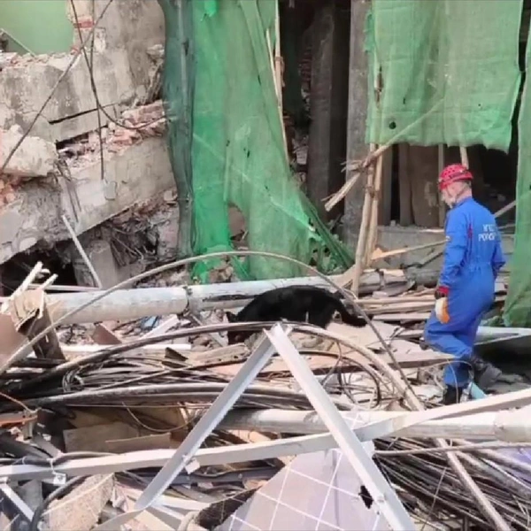 Источник: МЧС России