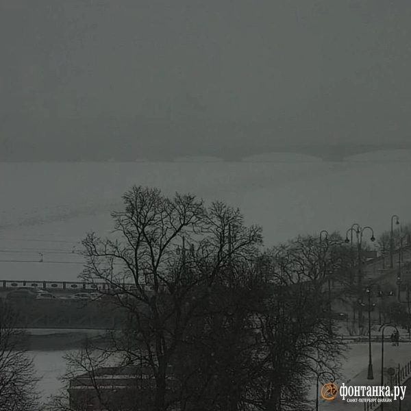 Источник: видовые камеры «Фонтанки»