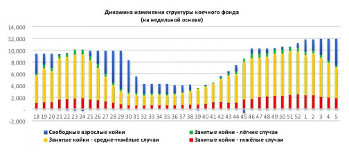 Число госпитализаций снизилось на 34%, летальность тоже ушла вниз: В Петербурге подвели &amp;quot;коронавирусные итоги&amp;quot; месяца