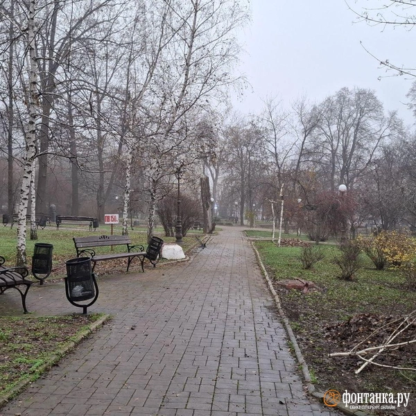 Источник: Ирина Багликова / FONTANKA.RU