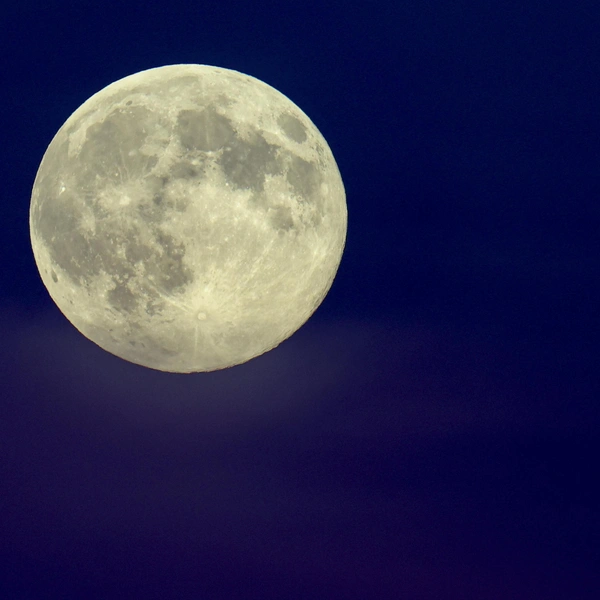 Германия, Лейпциг | Источник: Jan Woitas/picture alliance via Getty Images