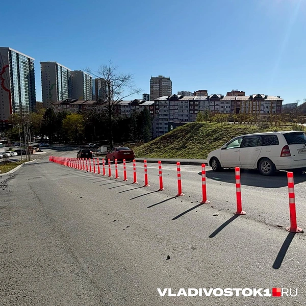Источник: Елена Буйвол / VLADIVOSTOK1.RU