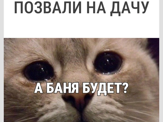 И шашлычка бы еще | Источник: Городские медиа