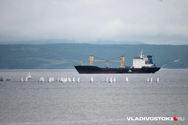 Источник: Елена Буйвол / VLADIVOSTOK1.RU