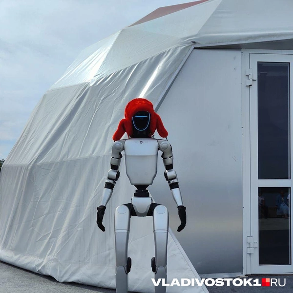 Источник: Татьяна Акишина / VLADIVOSTOK1.RU